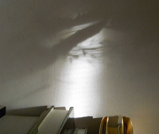 artwork-shadow-1